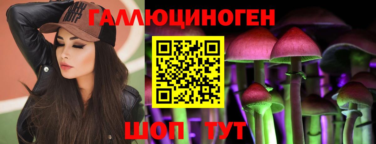 Псилоцибиновые грибы GOLDEN TEACHER  Вход с VPN  Кумертау 